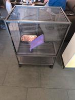 Cage Furet ou chinchilla, Ophalen, Nieuw, Kooi, Fret