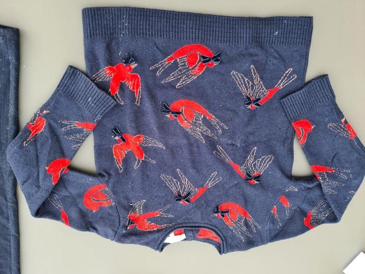 donkere pull, trui met rode vogels, Lili Gaufrette, 128, Kinderen en Baby's, Kinderkleding | Maat 128, Zo goed als nieuw, Ophalen of Verzenden