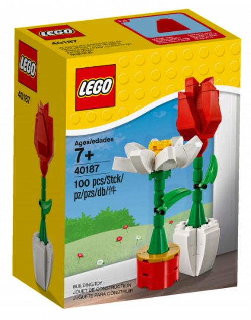 Lego 40187  Flower Display (utilisé), Enfants & Bébés, Jouets | Duplo & Lego, Comme neuf, Lego, Ensemble complet, Enlèvement ou Envoi