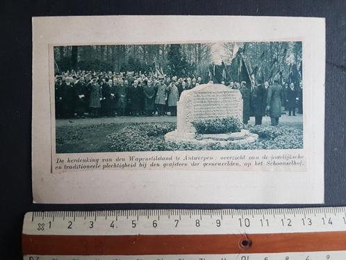 Knipsel op postkaart: Wapenstilstand Antwerpen Schoonselhof, Verzamelen, Militaria | Algemeen, Landmacht, Foto of Poster, Verzenden