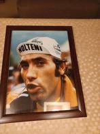 Eddy merckx, Verzamelen, Ophalen of Verzenden