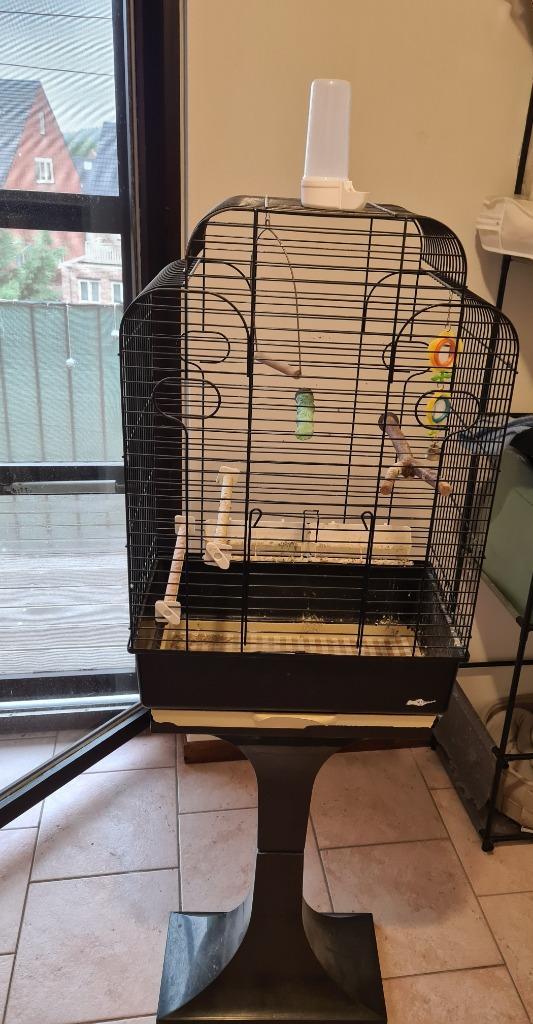 Vogel kooi met staander, Dieren en Toebehoren, Vogels | Toebehoren, Gebruikt, Ophalen