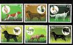 EUROPE BULGARIE CHIENS DE CHASSE 6 TIMBRES OBLITERES - SCAN, Timbres & Monnaies, Timbres | Europe | Autre, Bulgarie, Affranchi