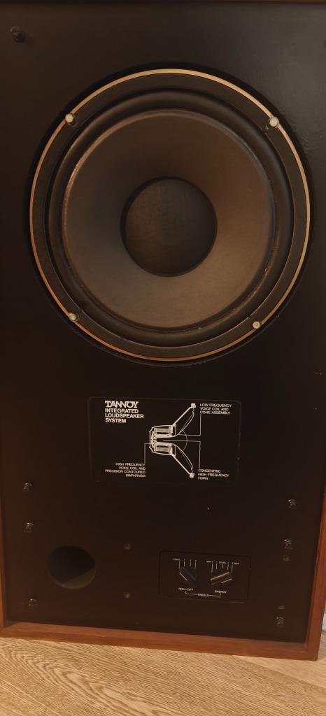 Tannoy Sheviot, Audio, Tv en Foto, Luidsprekerboxen, Gebruikt, Front, Rear of Stereo speakers, 60 tot 120 watt, Overige merken
