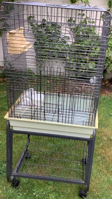 Grande cage, Enlèvement, Utilisé, Métal, Cage à oiseaux