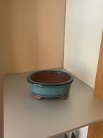 Leuke bonsaipot, Ophalen of Verzenden, Zo goed als nieuw, Minder dan 40 cm, Tuin