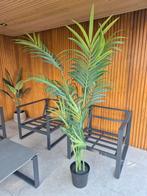 Kunstplant palm te koop, Ophalen, Zo goed als nieuw