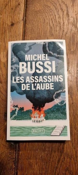 "Les assassins de l'aube" de Michel Bussi, Boeken, Romans, Zo goed als nieuw, Ophalen of Verzenden