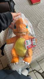 Charmander, Ophalen of Verzenden, Nieuw, Overige typen