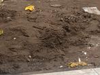Gratis zwarte grond 400-500 kg  Schoten moet vandaag weg, Tuin en Terras, Zand, Ophalen, Zo goed als nieuw