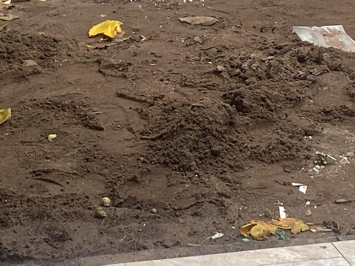 Gratis zwarte grond 400-500 kg  Schoten moet vandaag weg, Tuin en Terras, Zand, Zo goed als nieuw, Ophalen