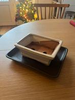 Bonsaipot, Ophalen, Zo goed als nieuw