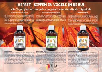 Herfst Met Vita Vogel  beschikbaar voor biedingen