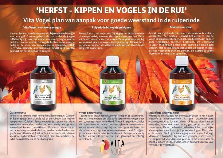 Herfst Met Vita Vogel, Dieren en Toebehoren, Dierenvoeding, Vogel, Ophalen