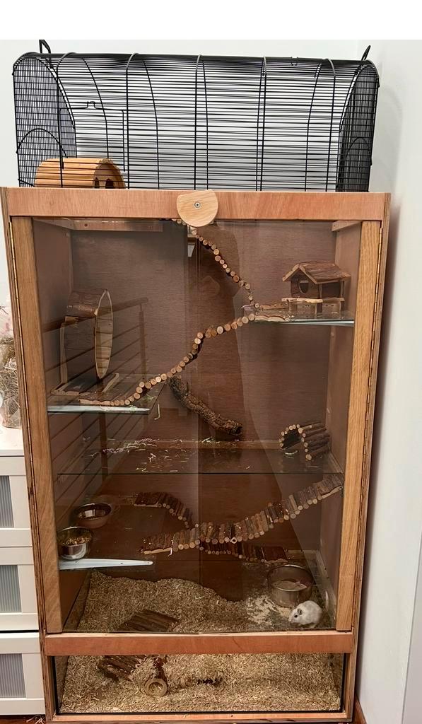 Ruim huis voor knaagdieren, Animaux & Accessoires, Rongeurs & Lapins | Cages & Clapiers, Comme neuf, Cage, 90 cm ou plus, Moins de 75 cm