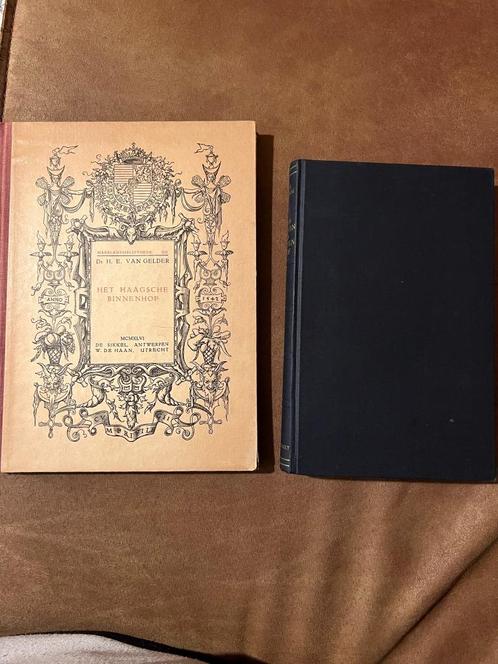 2 boeken over Het Haagsche Binnenhof, Boeken, Geschiedenis | Stad en Regio, Gelezen, 19e eeuw, Ophalen of Verzenden