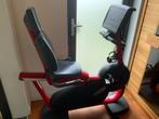 Technogym recumbent fiets, Ophalen, Zo goed als nieuw, Metaal, Stoelfiets