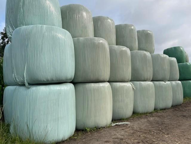 Voordroog, Zakelijke goederen, Landbouw | Veevoer, Ophalen