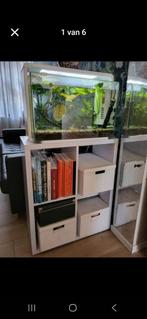 Aquarium 60L met meubel en vele accessoires te koop!, Ophalen