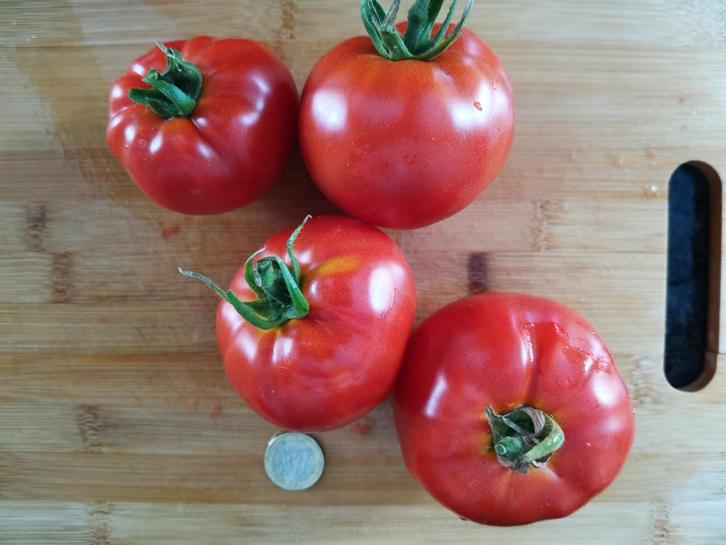 Dos Mercados tomaat - 5 zaden, Tuin en Terras, Bloembollen en Zaden, Zaad, Voorjaar, Verzenden