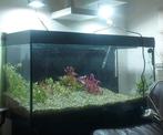 Aquarium 120 cm breed en 40 cm breed.  2 filters, één extern