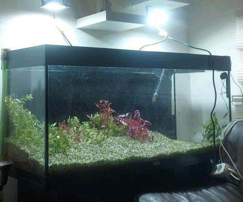 Aquarium 120 cm breed en 40 cm breed.  2 filters, één extern, Immo, Appartementen en Studio's te huur