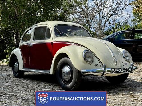 Volkswagen Beetle Oval Coupé 1956 | Route 66 auctions, Auto's, Oldtimers, Bedrijf, Te koop, Volkswagen, Benzine, Coupé, 2 deurs