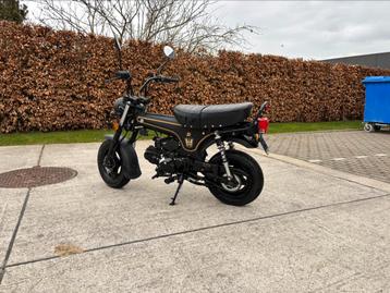 Nieuw Bluroc heritage Dax B-klasse beschikbaar voor biedingen