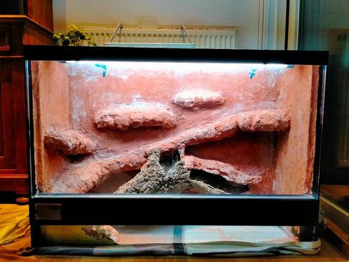 Terrarium groot, Animaux & Accessoires, Reptiles & Amphibiens | Accessoires, Neuf, Terrarium ou Paludarium, Enlèvement