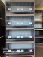 Kweekkooien, Dieren en Toebehoren, Ophalen, Nieuw, Hout, Broedkooi of Kweekkooi