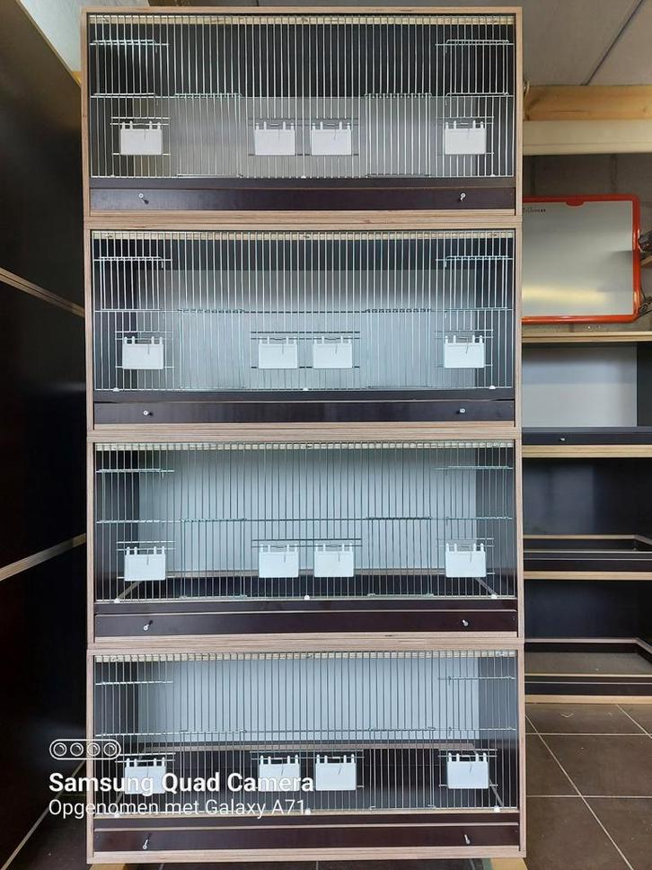 Kweekkooien, Dieren en Toebehoren, Vogels | Hokken en Kooien, Nieuw, Broedkooi of Kweekkooi, Hout, Ophalen