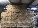 Grote pakken hooi te koop, Dieren en Toebehoren, Ophalen of Verzenden