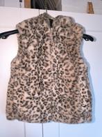 Bodywarmer Zara 116, Kinderen en Baby's, Ophalen of Verzenden, Zo goed als nieuw