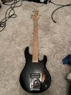 Sterling stingray 5 basgitaar, Muziek en Instrumenten, Snaarinstrumenten | Gitaren | Bas, Ophalen, Zo goed als nieuw
