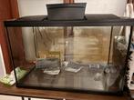 Aquarium, Enlèvement ou Envoi, Comme neuf