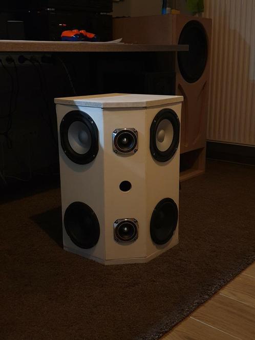 Twee-weg luidspreker zelfgebouwd, Audio, Tv en Foto, Luidsprekerboxen, Nieuw, Subwoofer, 120 watt of meer, Magnat, Ophalen