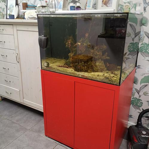 Zeeaquarium, Dieren en Toebehoren, Vissen | Aquaria en Toebehoren, Zo goed als nieuw, Ophalen
