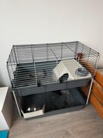 Cavia cage (used but not so used), Dieren en Toebehoren, Knaagdieren en Konijnen | Hokken en Kooien, Ophalen, Gebruikt, Overige typen