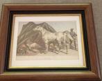 litho ancienne 1880 cheval arabe devant tente bedouin, Ophalen
