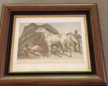 litho ancienne 1880 cheval arabe devant tente bedouin  beschikbaar voor biedingen