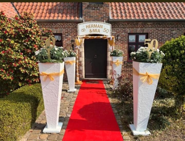 TE HUUR: Versiering 50jarig huwelijk, Hobby en Vrije tijd, Feestartikelen | Verhuur, Zo goed als nieuw, Ophalen