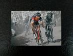 Carte postale Greg Van Avermaet (Paris-Roubaix 2017), Collections, Articles de Sport & Football, Envoi, Neuf