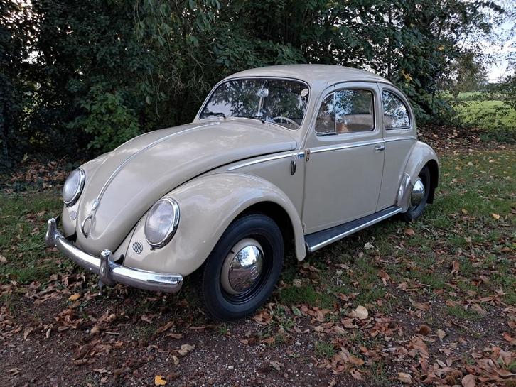 Vw kever '59, Auto's, Oldtimers, Bedrijf, Volkswagen, Handgeschakeld, Beige, Beige, Ophalen