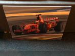 2x Alonso schilderij, Verzamelen, Formule 1, Zo goed als nieuw, Ophalen