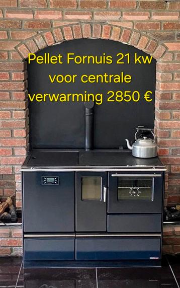 Houtfornuis /Pellet Fornuis CV beschikbaar voor biedingen