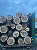 Brandhout Canadese populier, Enlèvement, Troncs d'arbres