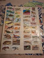 Postzegels reptillen, Enlèvement