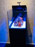 WaterBox PENINSULA MINI 25 Nieuw!!!!, Ophalen, Zo goed als nieuw