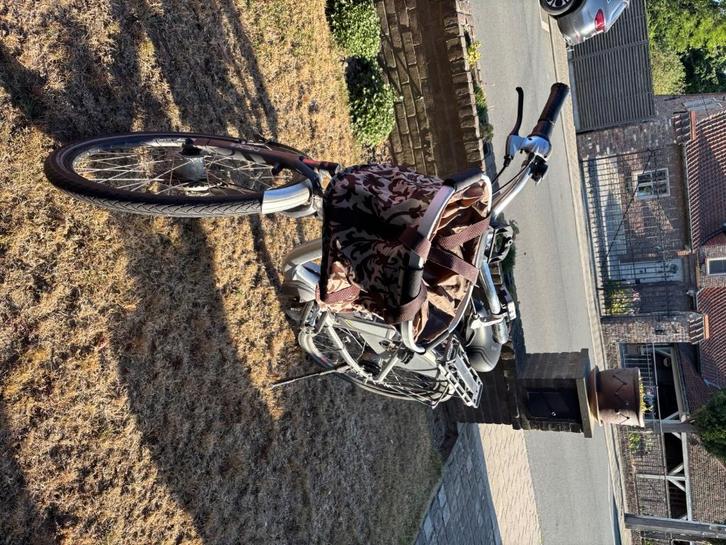 Elektrische fiets Flyer, Fietsen en Brommers, Elektrische fietsen, Gebruikt, Overige merken, Minder dan 47 cm, 50 km per accu of meer