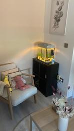 Aquarium Superfish 40l met aquariumkast, Dieren en Toebehoren, Ophalen, Zo goed als nieuw, Leeg aquarium